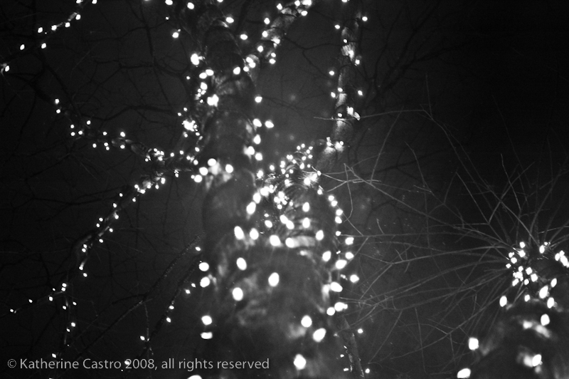Illustration for article titled Photo Contest: Christmas Lights